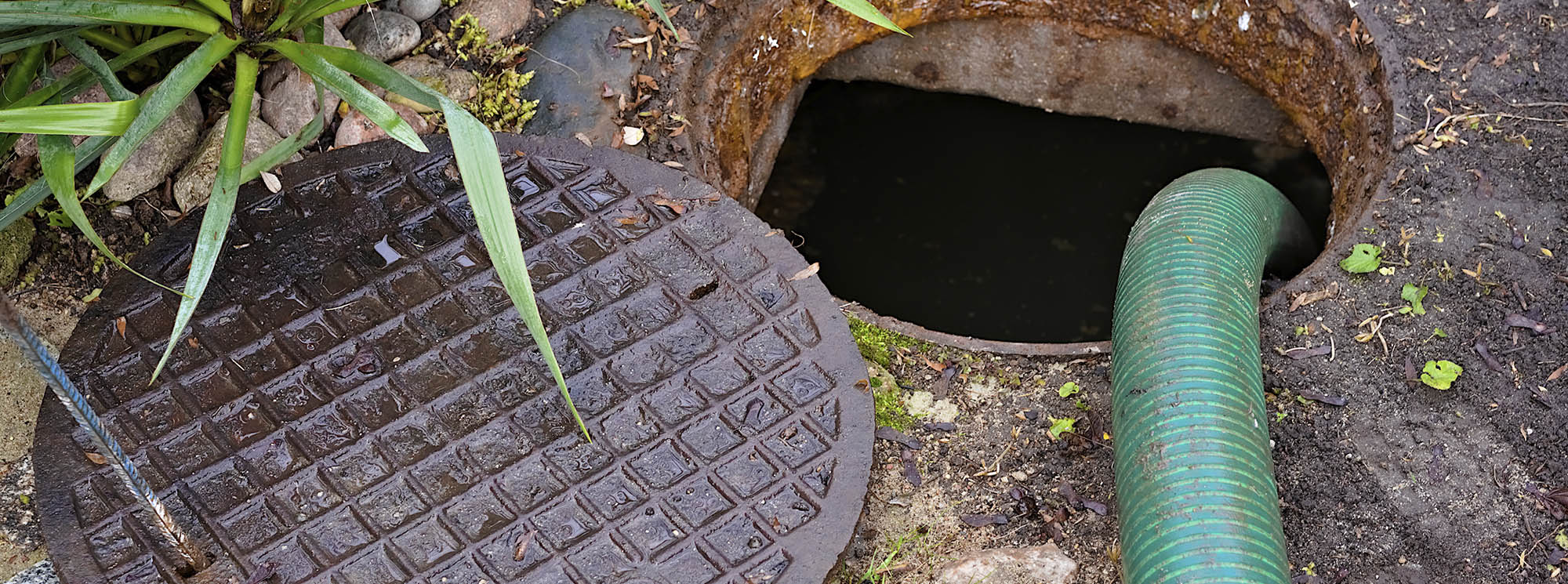 Signs Your Septic Pump Needs Maintenance - Sewage Backup