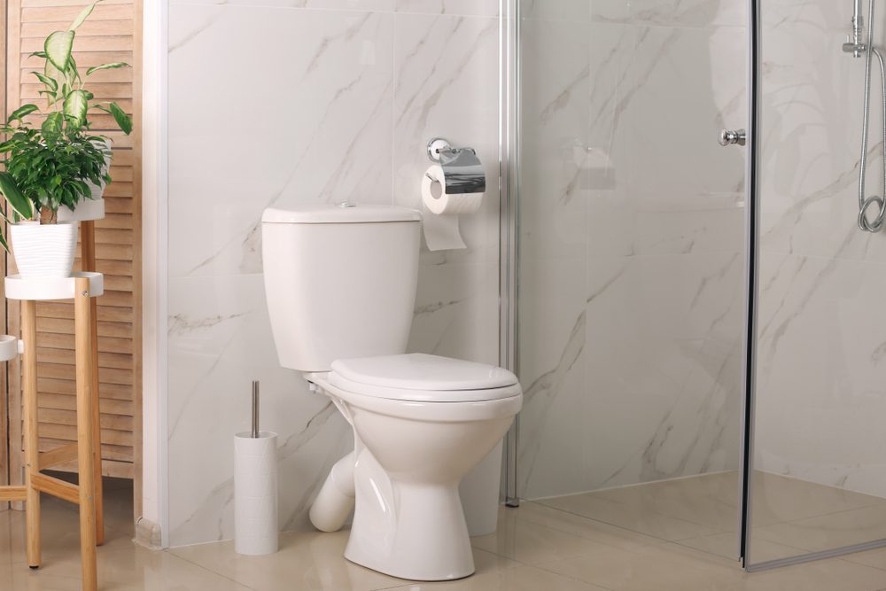 Toilet Repair in Clarksville, TN